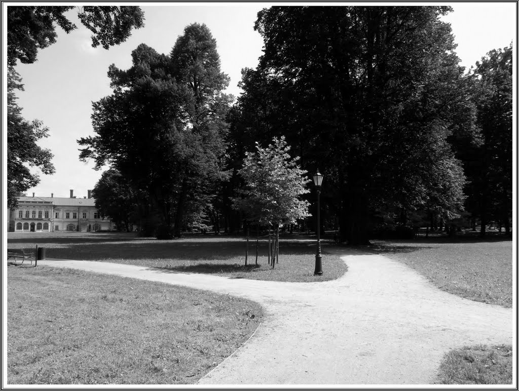 Żywiecki Park