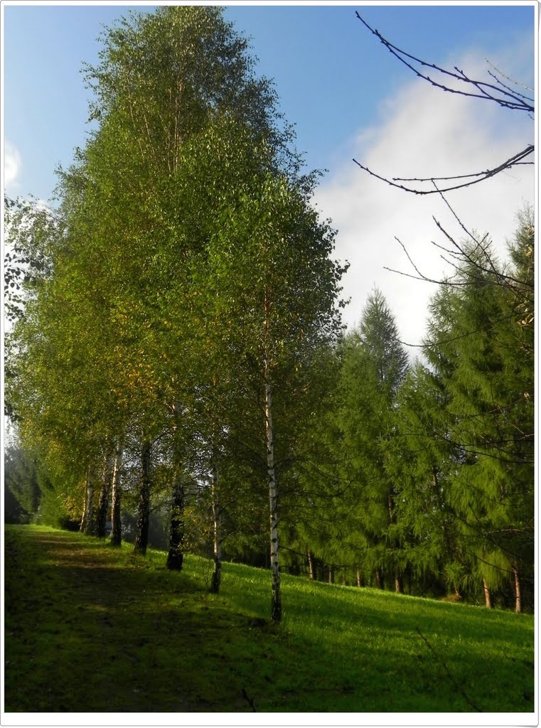 to też Żywiec/it also Żywiec