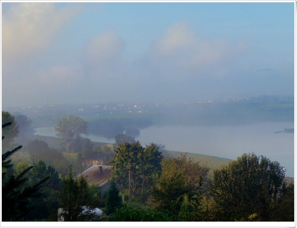 Żywiec we mgle/Żywiec in the fog