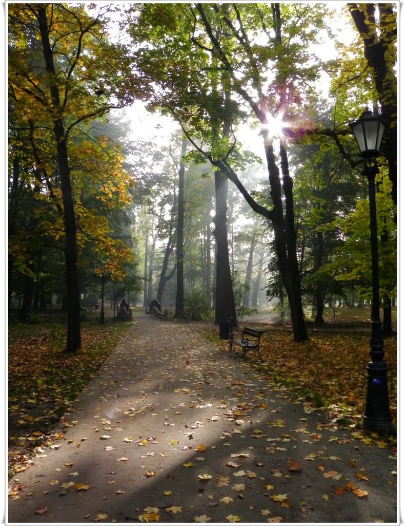 żywiecki park, jesień i mgła
