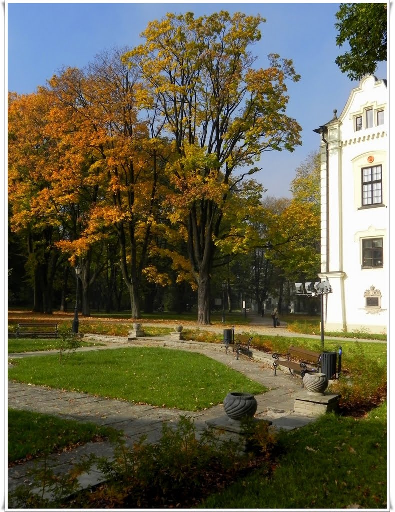żywiecki park jesienią