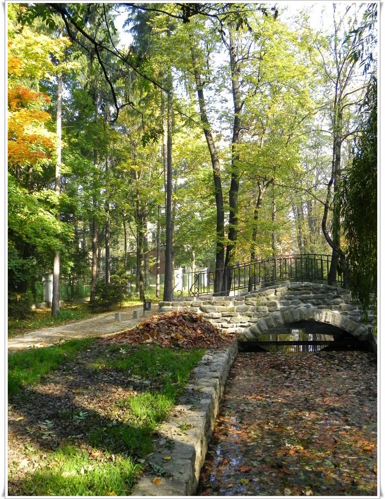 żywiecki park jesienią