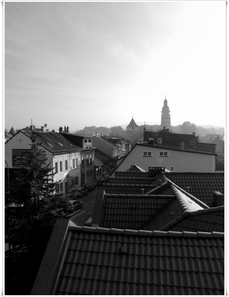 Żywiec