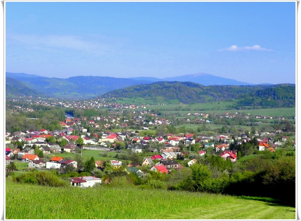 Żywiec Sporysz