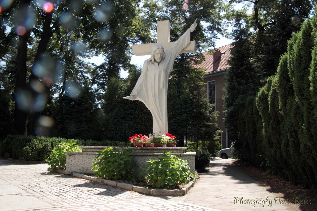 Żywiec