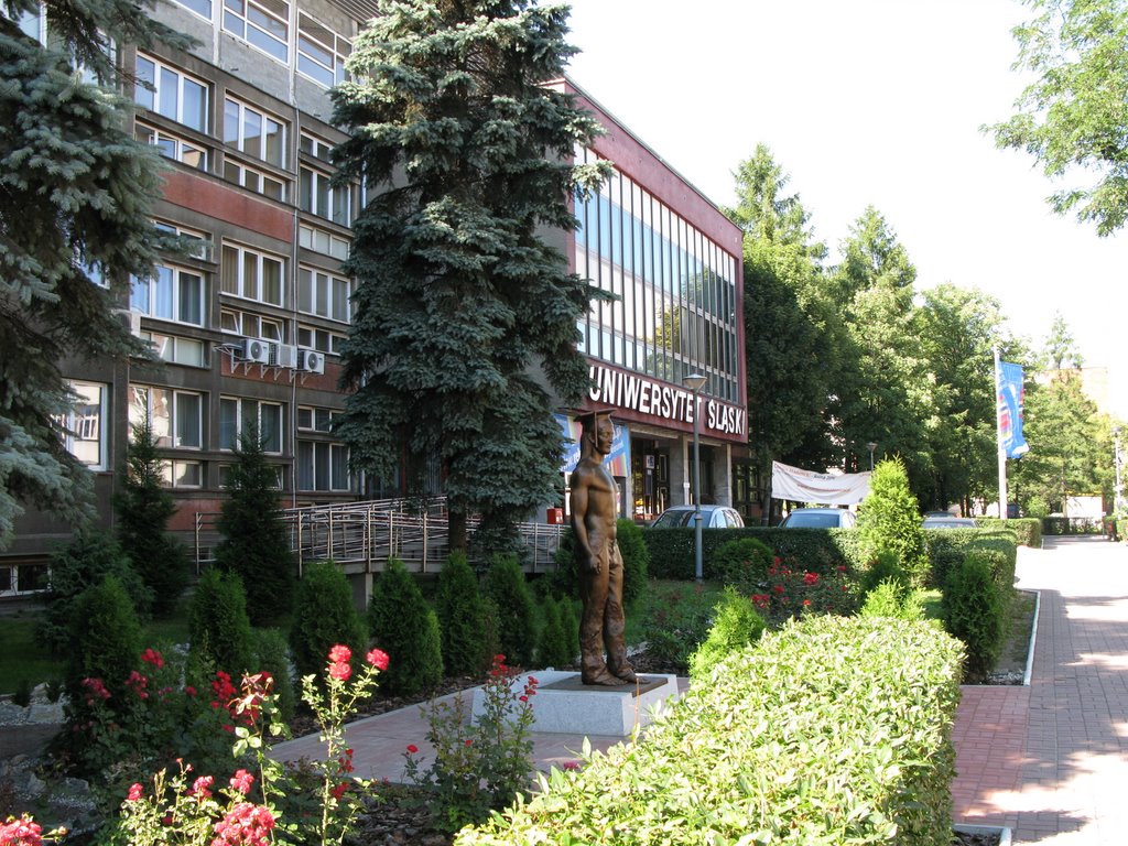 Katowice - the Silesian University