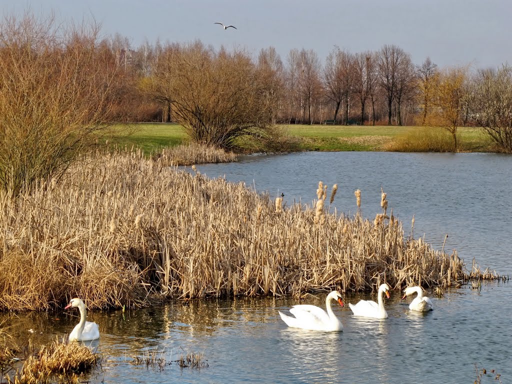 The spring in the valley of 3 ponds - the idyll