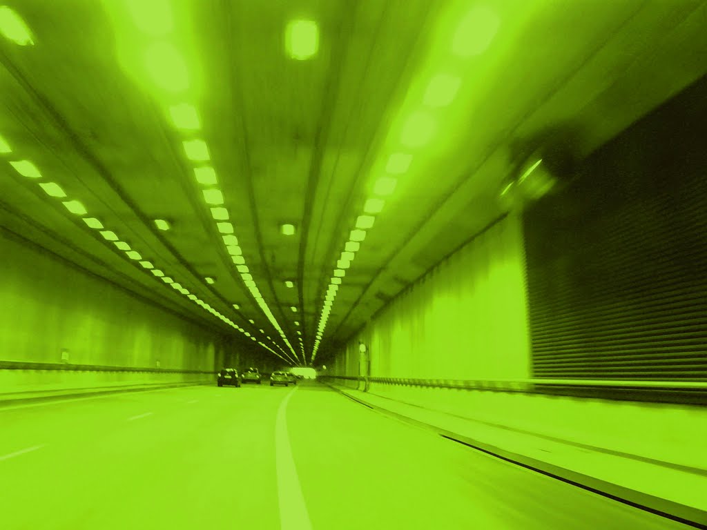 Zielone światło dla Was na ten Nowy Rok / Green light for you on this New Year