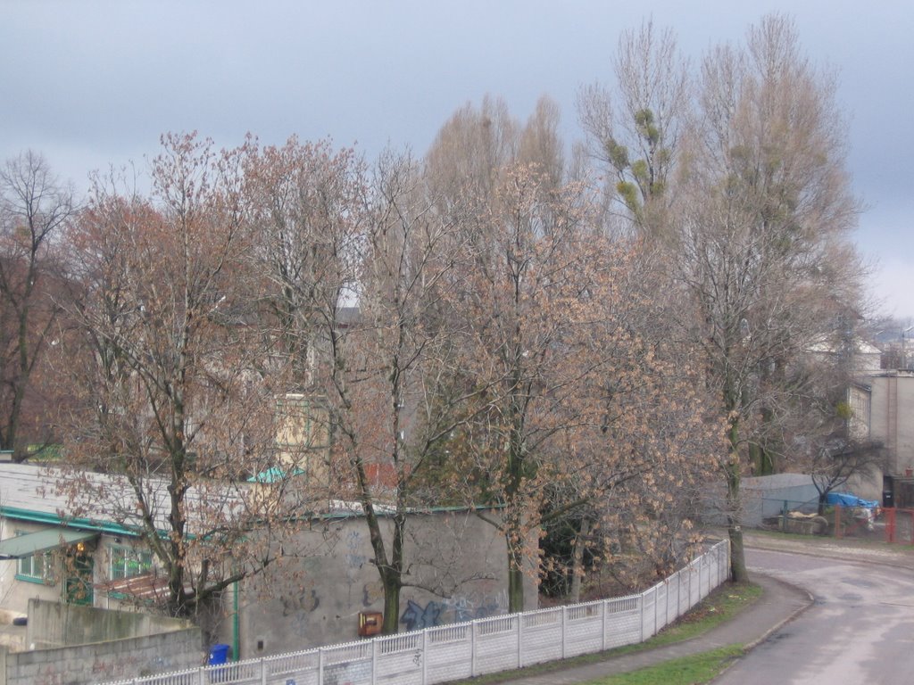 Z wiaduktu
