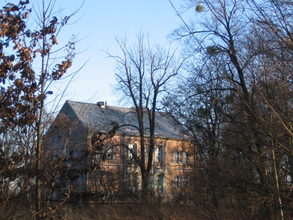 Stare domostwo