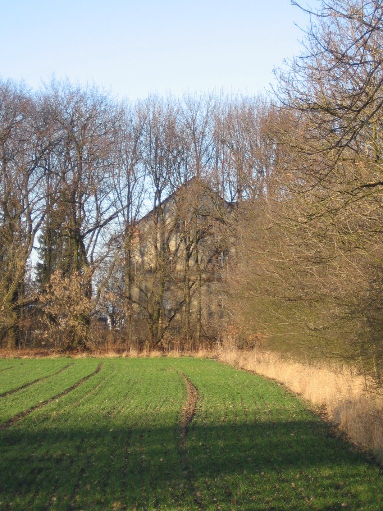 Stare domostwo