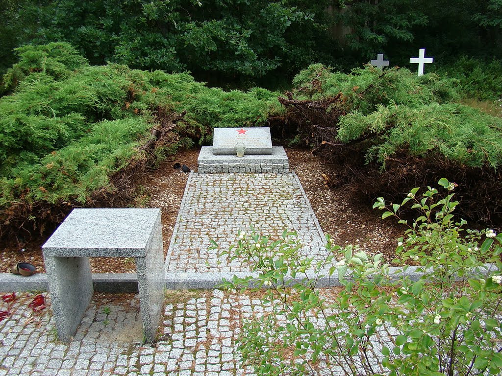 Lubliniec. Cmentarz, mogiła zbiorowa 14 żołnierzy radzieckich.