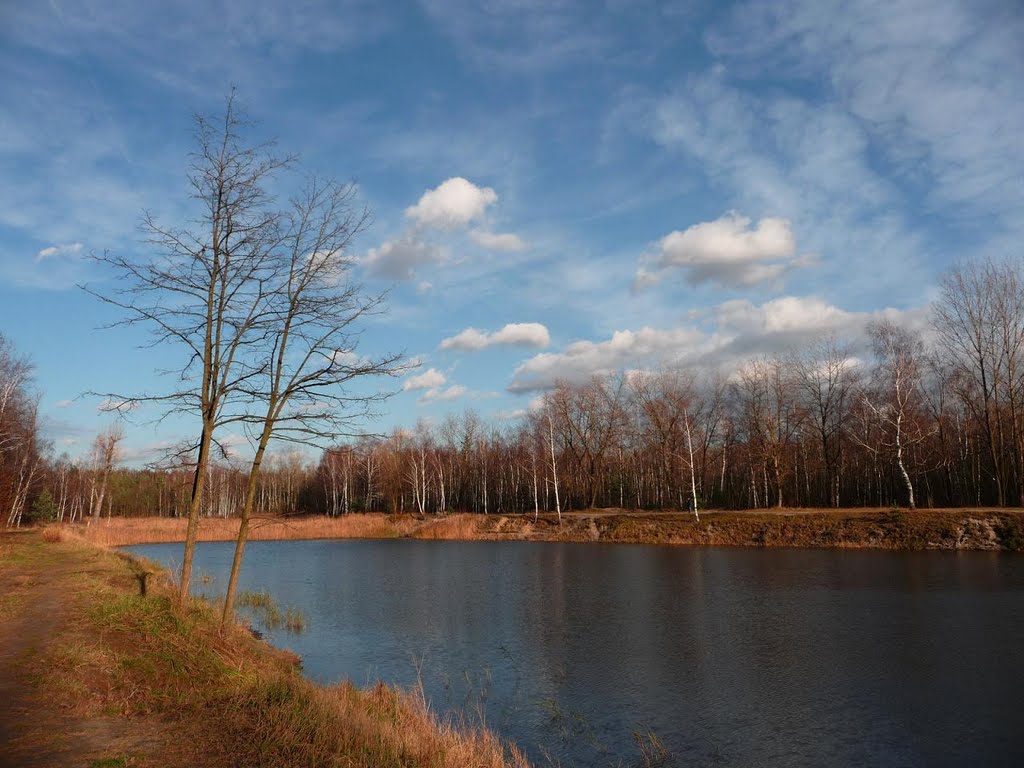 Stawy rybne na Modrzejowie (fishpond in Modrzejów) [2]
