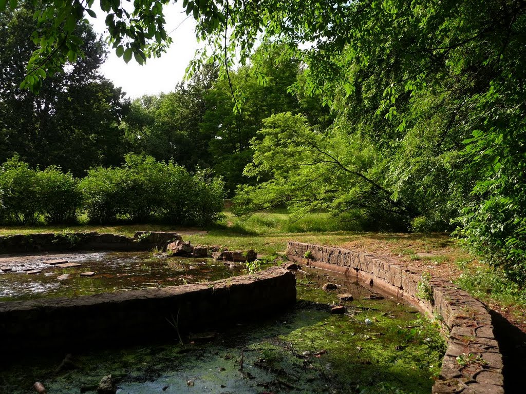 Zaniedbany brodzik (old childrens pool)