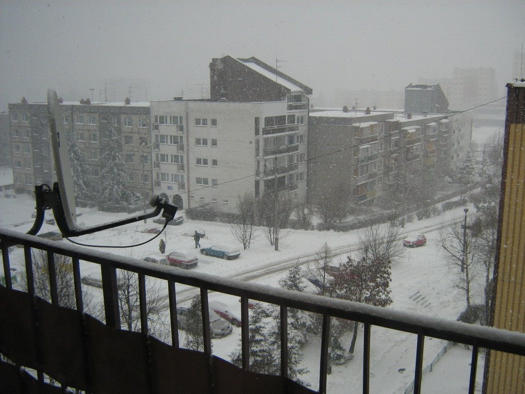 IMG_3286