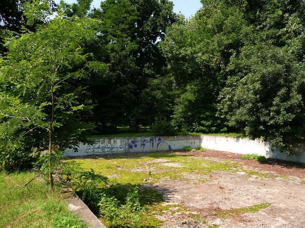 Stary basen w parku (an old swimming-pool)