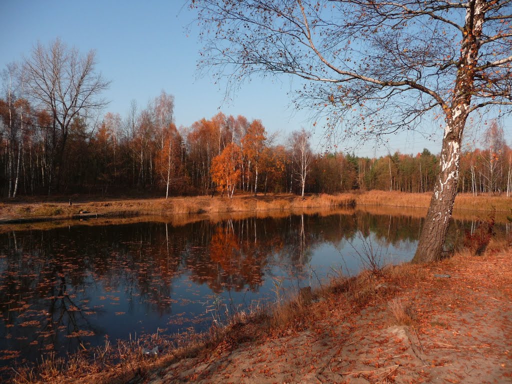Modrzejów jesienią (Sosnowiec by autumn)