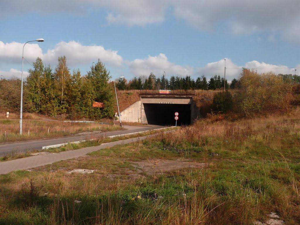 Wiadukt nad Obrzeżną Północną (viaduct over Obrzeżna Północna st.)