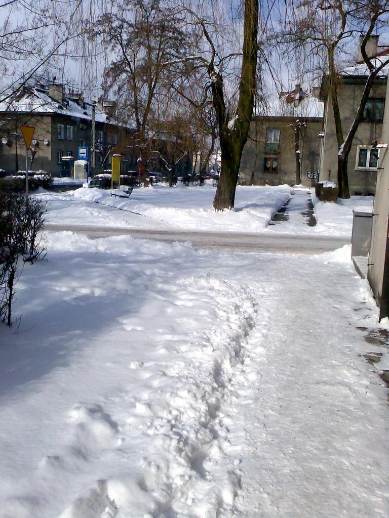 Pyskowice, ul. Traugutta