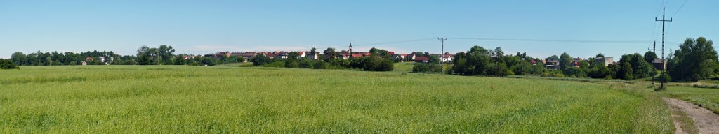 Panorama