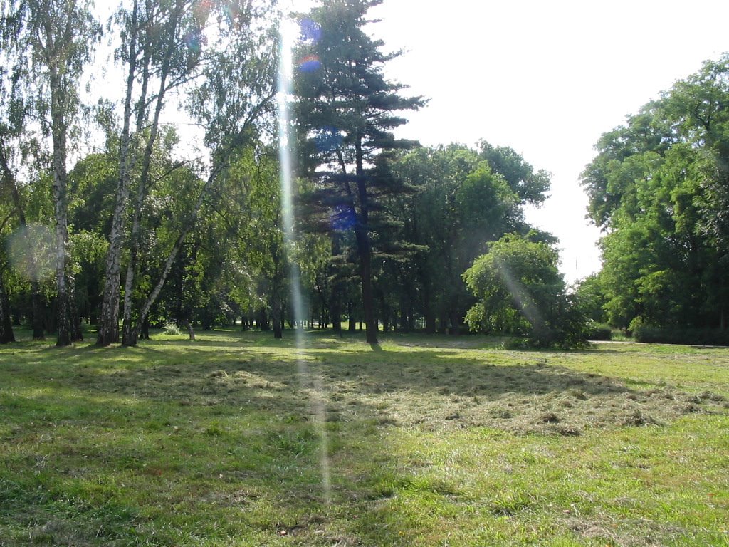 Pyskowice park