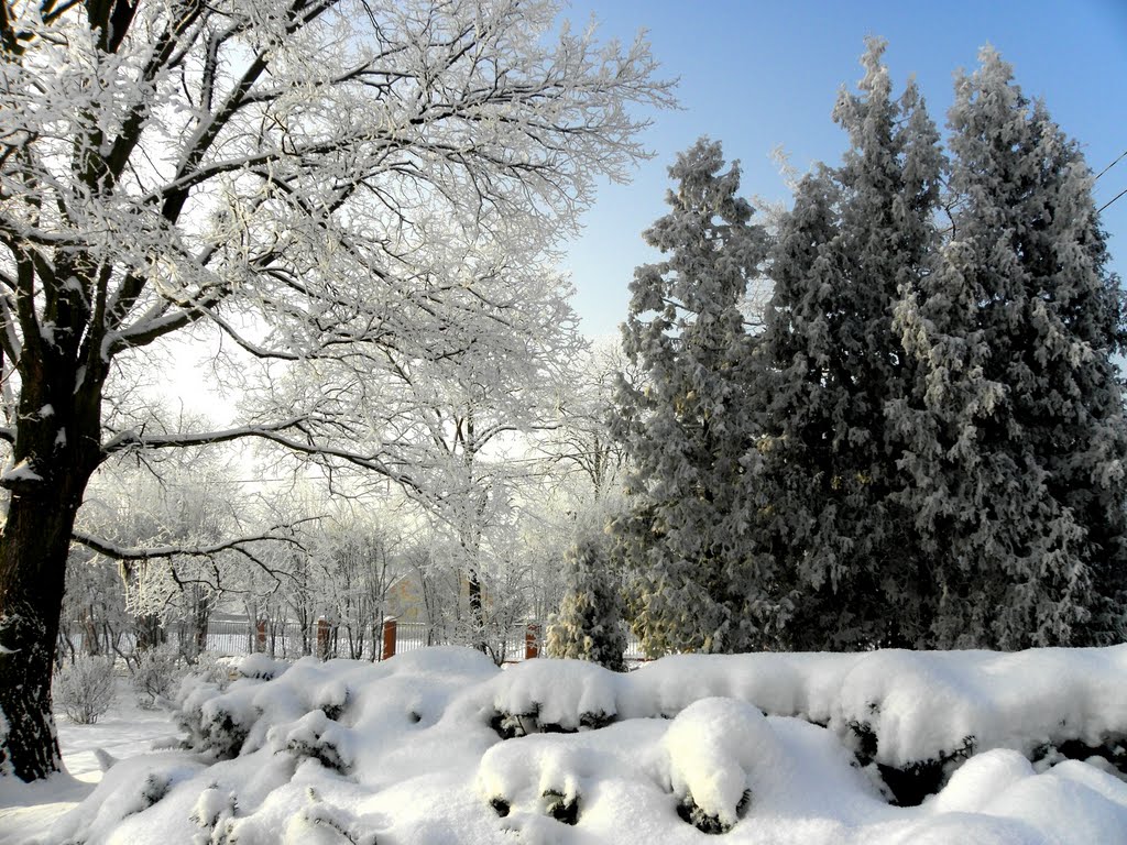 The charm of the winter_2
