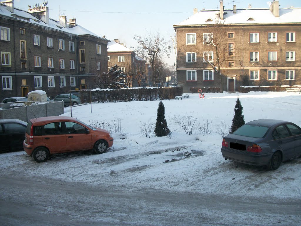 Ostra ZIMA