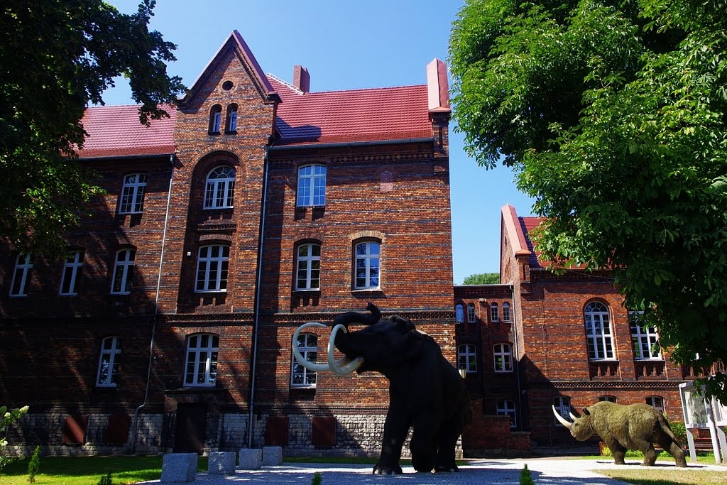 Mamut w Pyskowicach