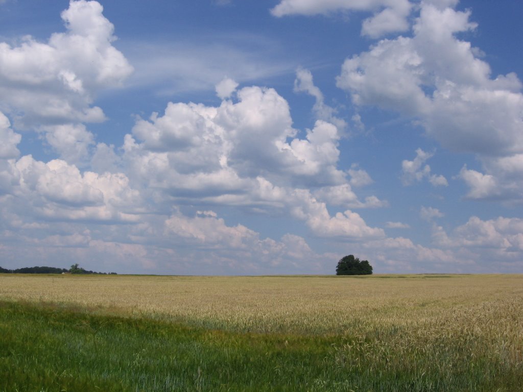 Pyskowice, widok z drogi z kierunku Gliwic