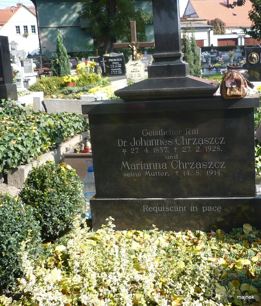 Chrząszcz