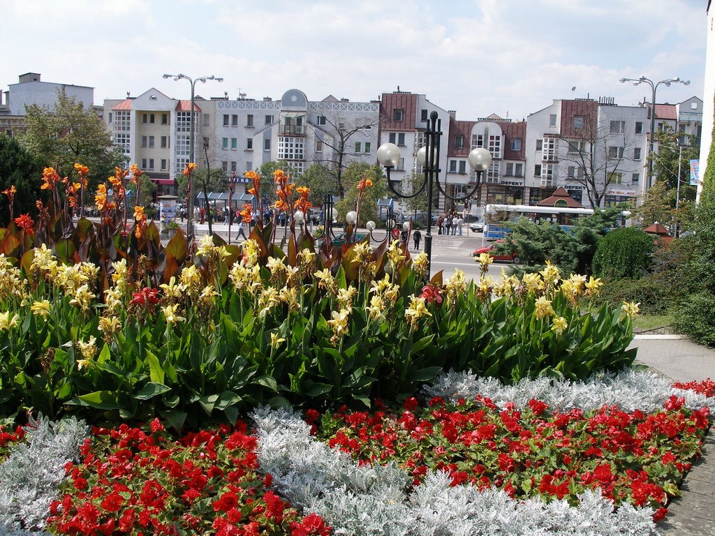 Rybnik - pl.Wolności