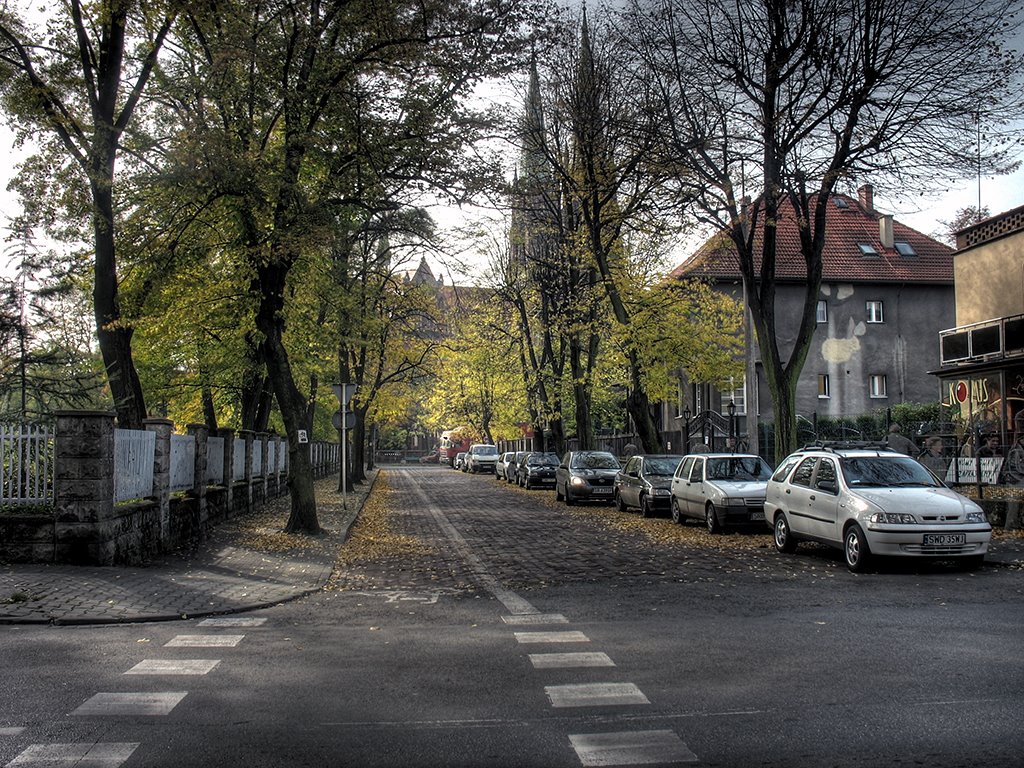 Rybnik - Orzeszkowej