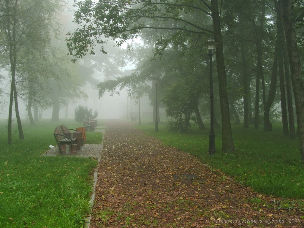 Rybnik, park przed uczelnią