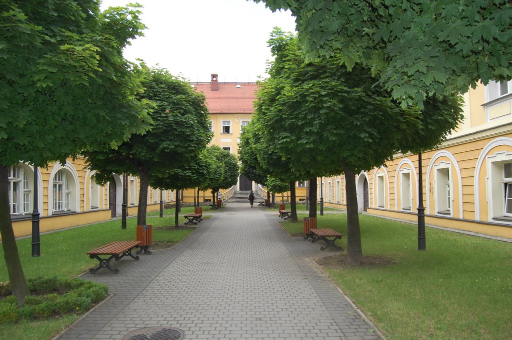 Zamek w Rybniku