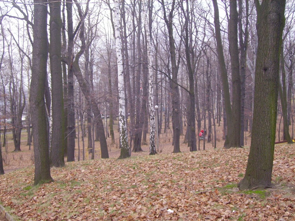 Park Kozie Góry