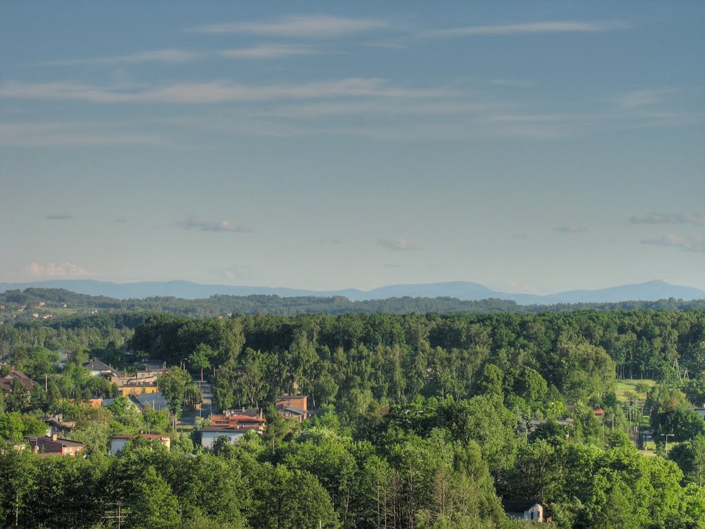 Widok na południe
