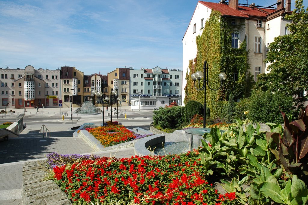 Rybnik widok na Plac Wolnosci