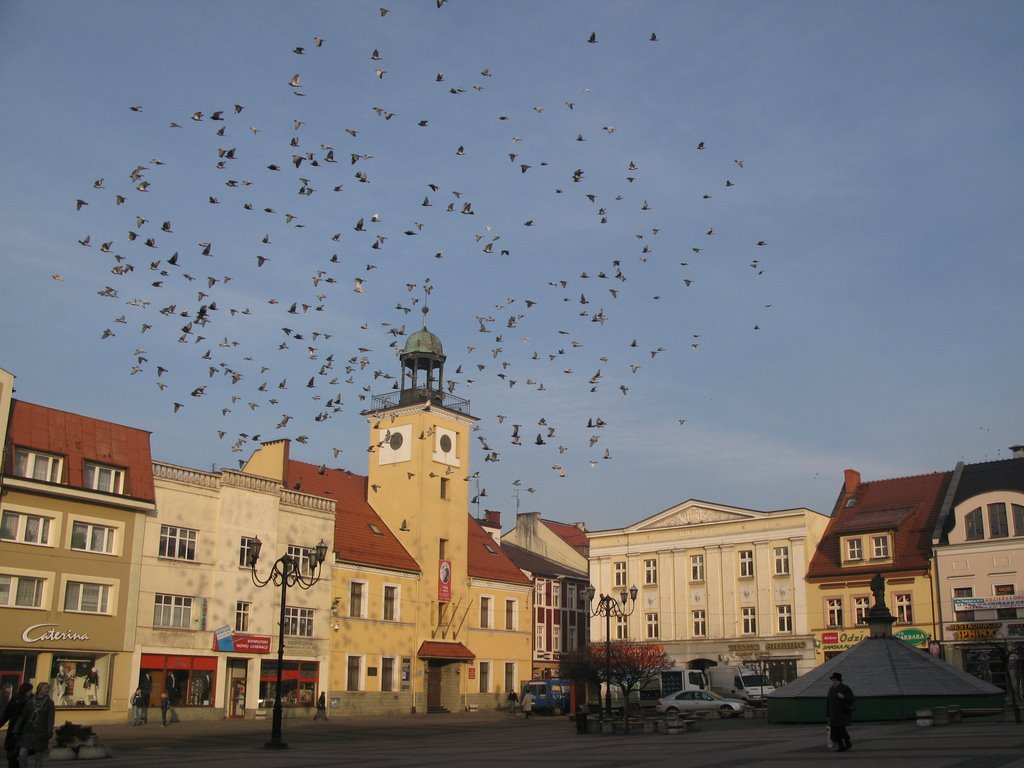Rybnik - rynek
