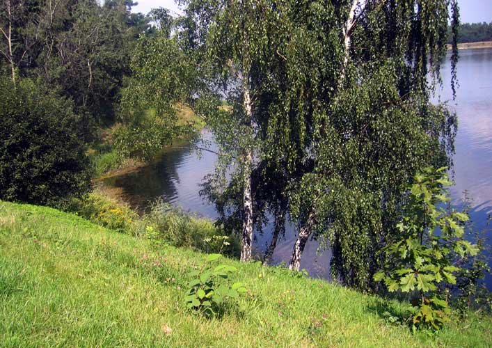 Śląsk zielony. Szopienice: Bagier