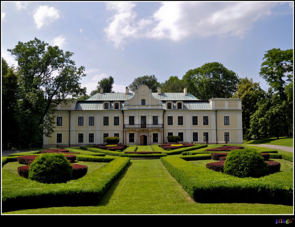 Muzeum Zagłębia w Będzinie, barokowo-klasycystyczny pałac w Będzinie-Gzichowie ¦ by pilago