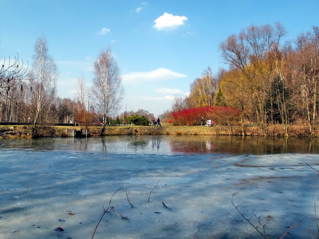 Ostatni ślad po zimie / The last trace after the winter