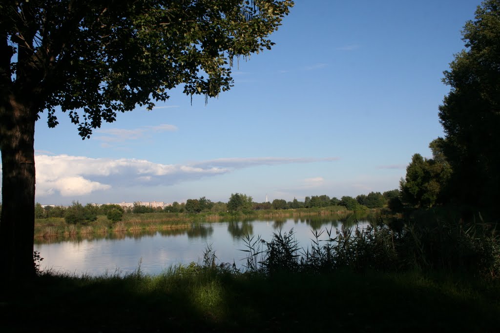 Śląsk zielony. Szopienice. Ewald