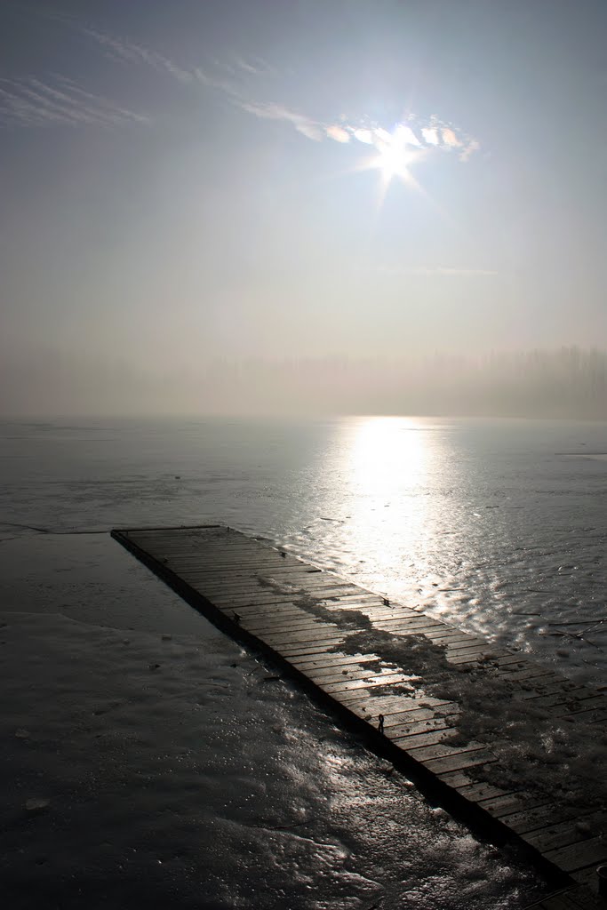spacerując we mgle / walking in the fog