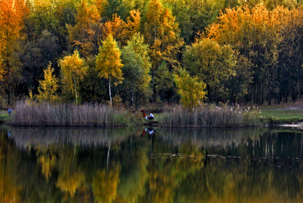 autumn