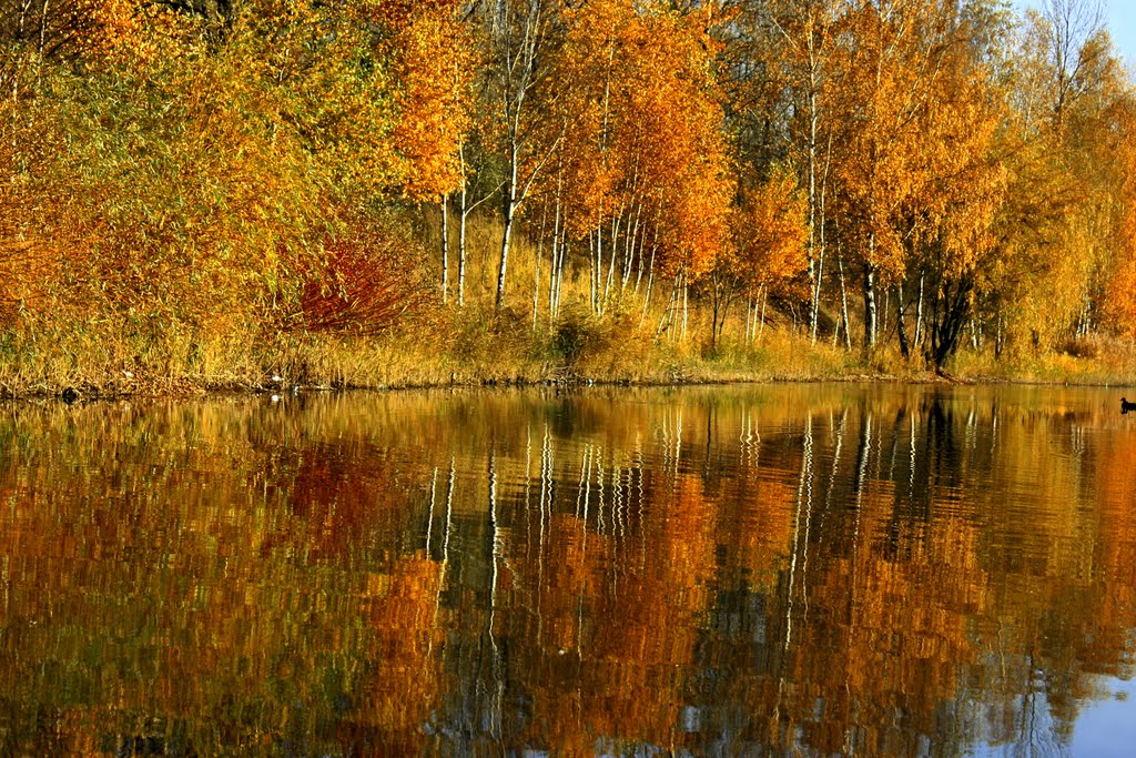 jesienny spacer / autumnal walk