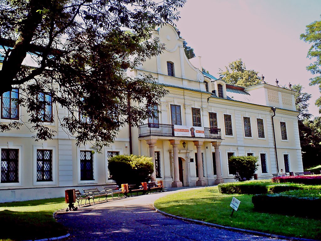 Będzin - pałac Mieroszewskich / palace