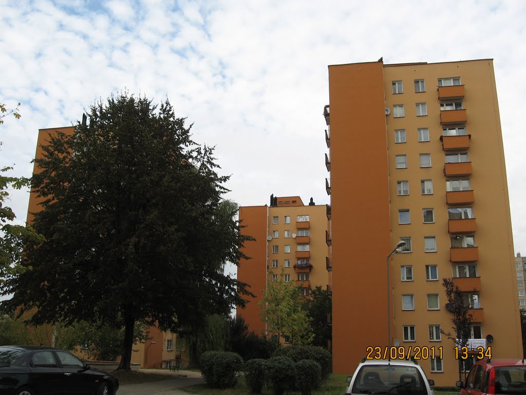 Bytom