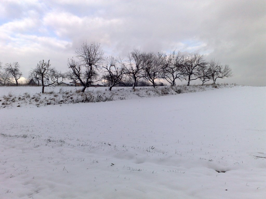 Snowy Scene