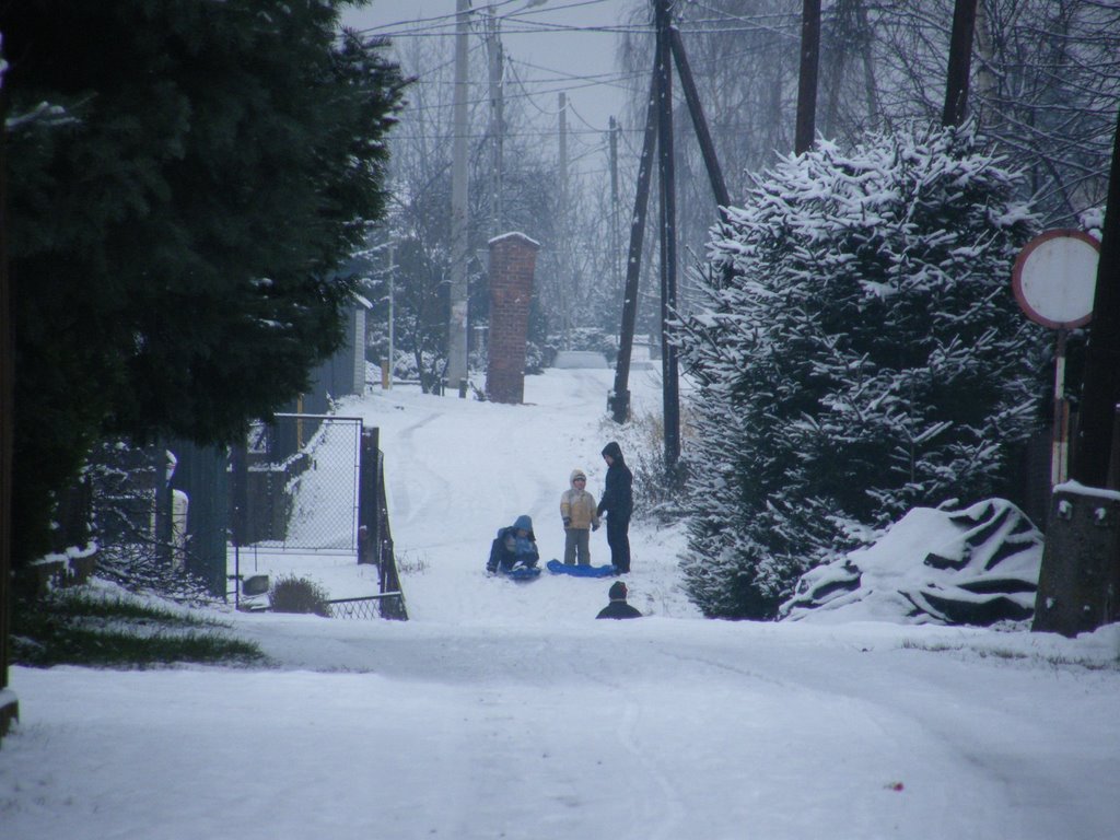 Xmas Day On The Sledge