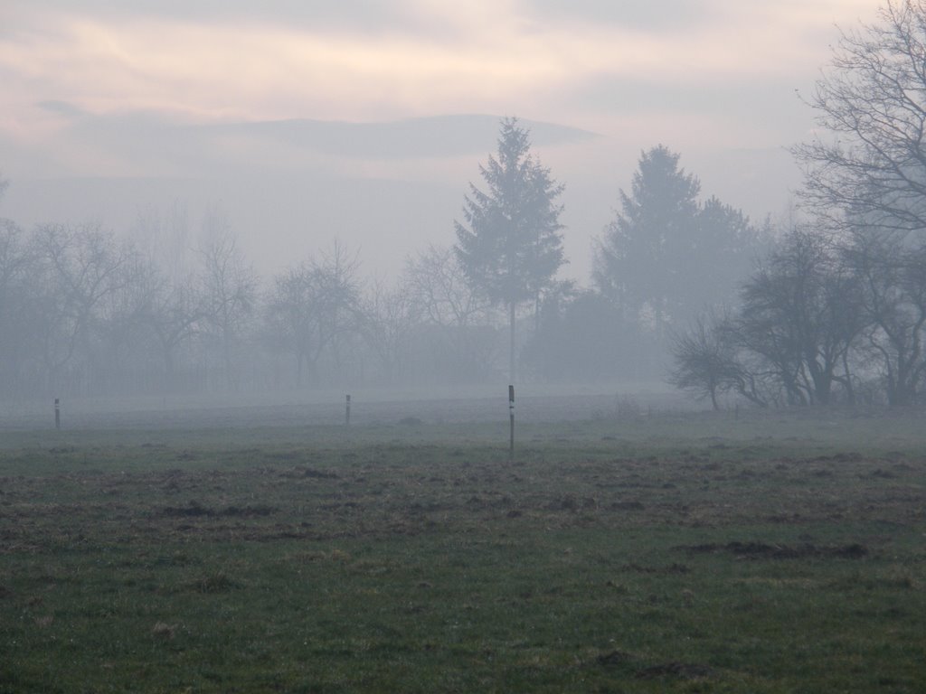 Mountains In The Mist